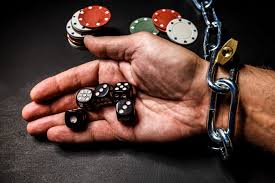 Онлайн казино Kaktuz Casino